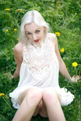 Adeline White dandelion Preview picture 4
